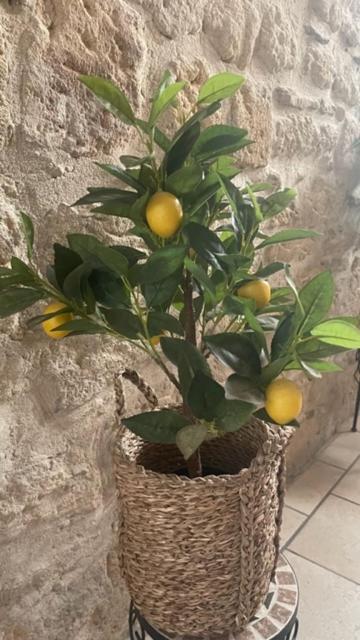 Le Rouget Apartman Beaucaire  Kültér fotó