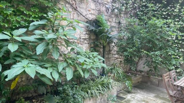 Le Rouget Apartman Beaucaire  Kültér fotó